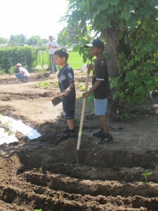 Two young boys stand near irrigation channels on a farm. One holds a farming implement