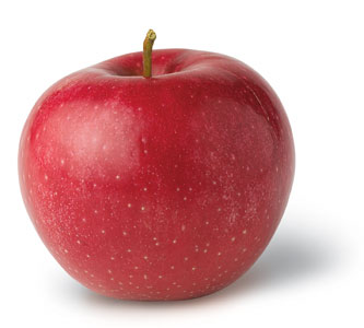 red apple on white background